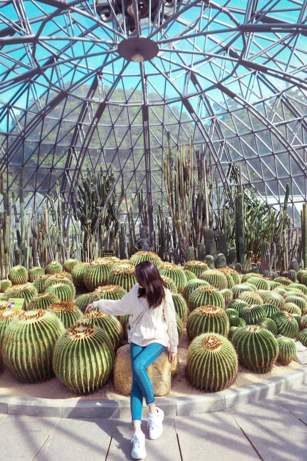 深圳值得打卡拍照的地方10月份,深圳绝美打卡地三月份