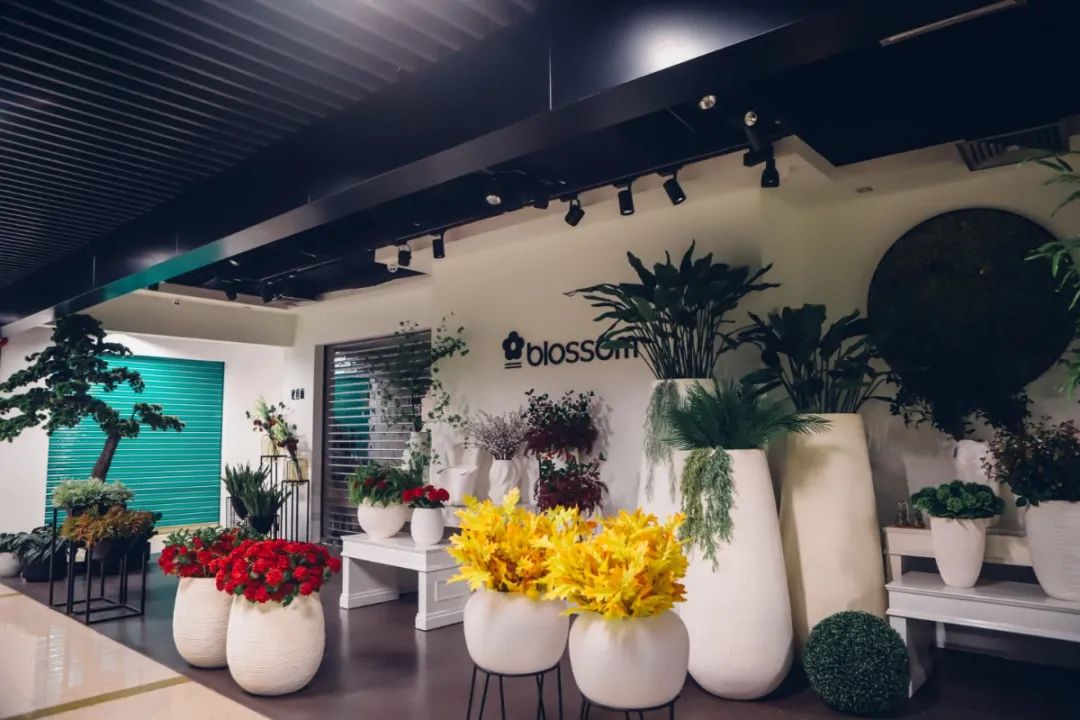 深圳值得打卡拍照的地方10月份,深圳绝美打卡地三月份