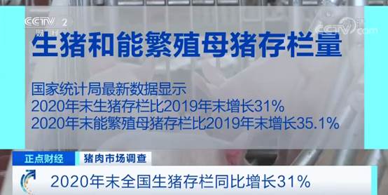 养猪场一头猪赚多少钱,养殖户着急卖猪一头能赚600元