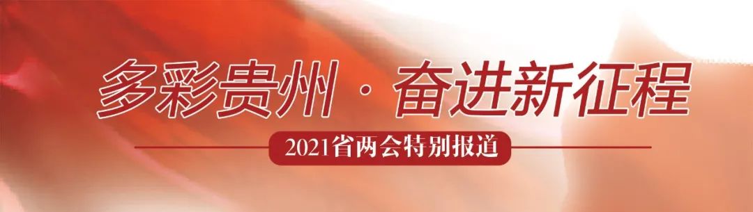 贵州省十三届四次人民代表大会,毕节市第三届第四次会议代表发言