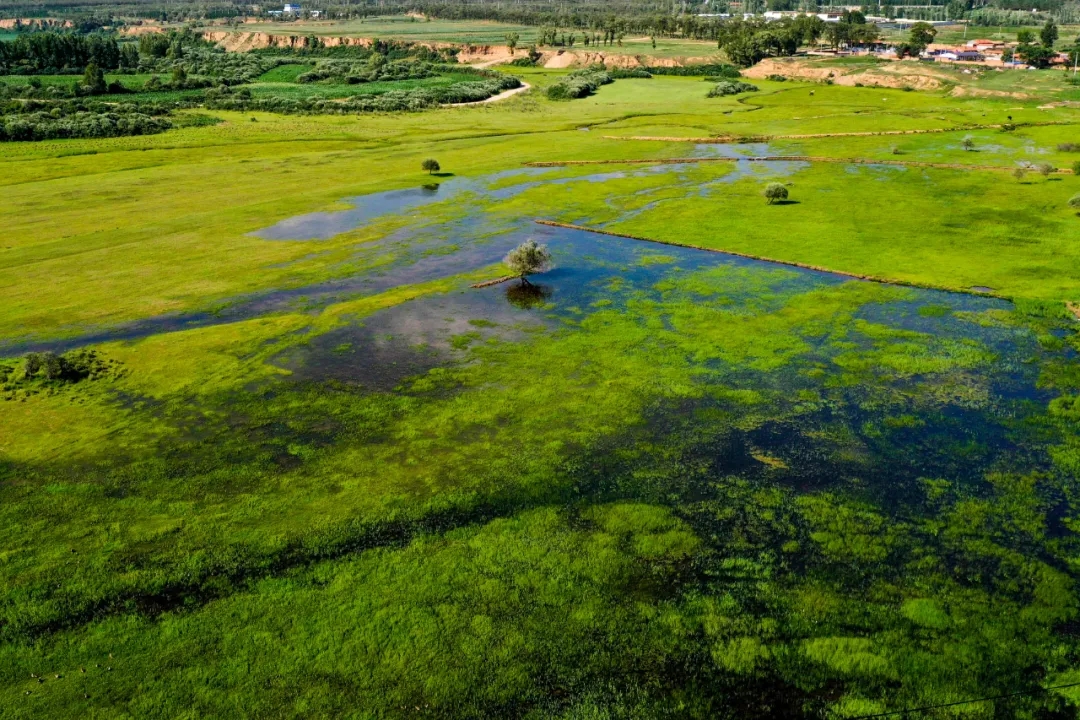 这篇千字短文说透了文章写作之道,这篇文章把危废行业说透了