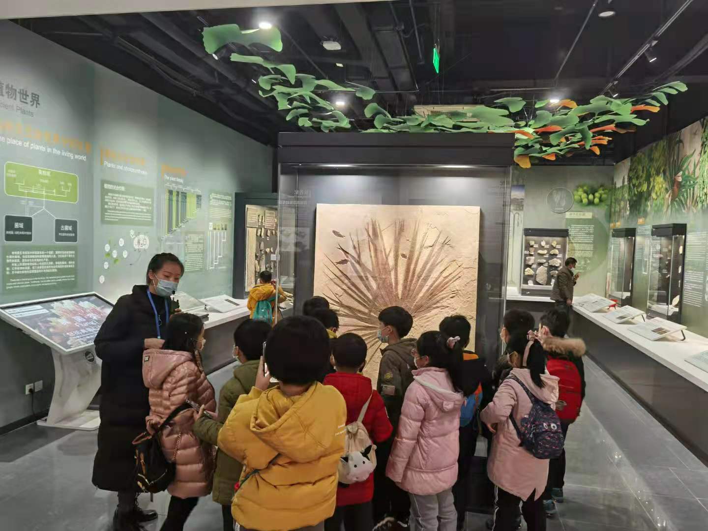 南京古生物博物馆6亿年海绵化石,南京地质博物馆恐龙化石要预约吗