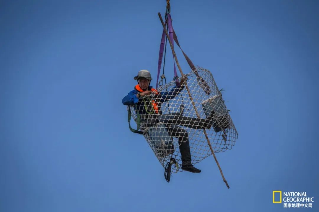 槌勯奔鑱屼笟鐚庝汉,槌勯奔鐚庝汉骞磋柂