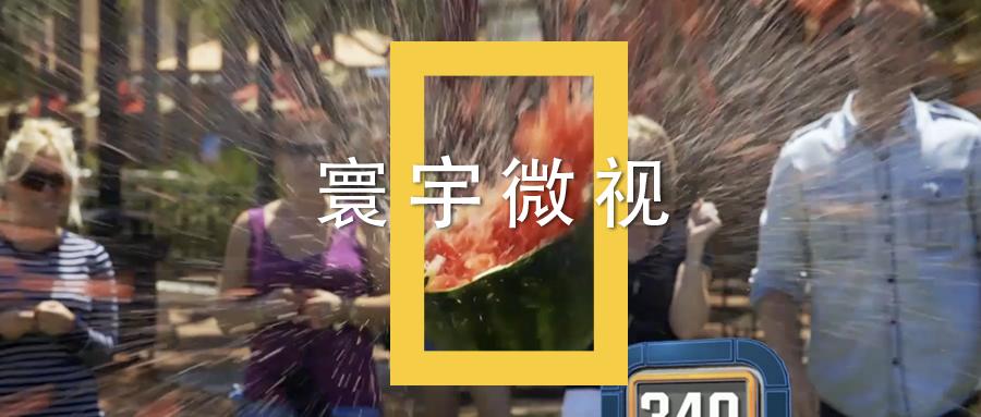 狗狗能记住的单词,狗狗的英文单词是什么