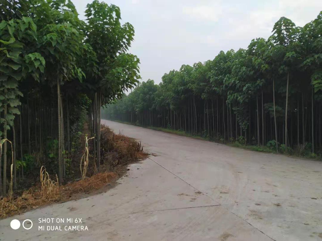 魅力北庄大块镇村庄风采展示,魅力陈堡大块镇村庄风采展示