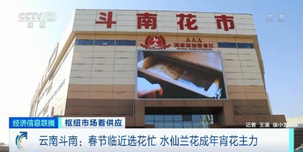 直击亚洲最大鲜切花市场：九成鲜花批发夜间拍卖，红玫瑰涨价50%，百合价格翻一倍