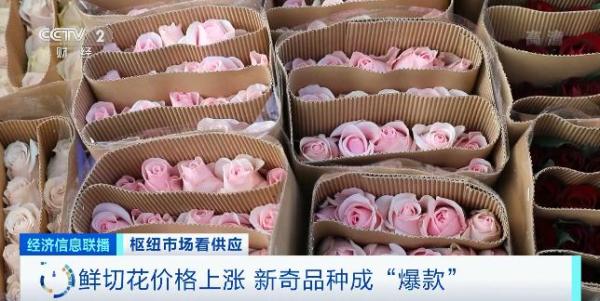 直击亚洲最大鲜切花市场：九成鲜花批发夜间拍卖，红玫瑰涨价50%，百合价格翻一倍