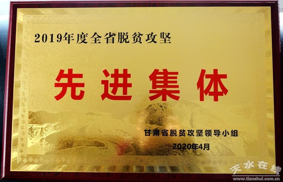武山县2024农村供水养护工程,武山县水利灌溉建设项目