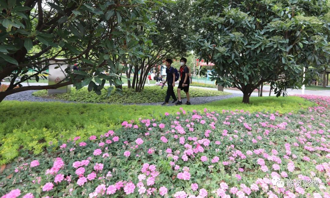 在郑州，遇见美好——刘絮|影像纪年2020（38）