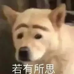 一小撮儿还是一整头？这些颜色你不能错过