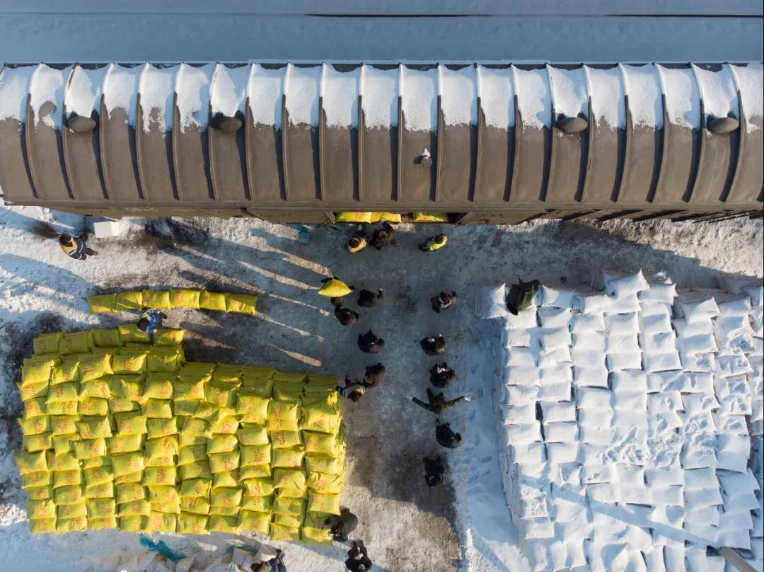 早安山东丨新的一年，与春同行奋力“犇跑”；“我和我的家乡·一把手话发展”今日关注潍坊寿光；假期每日好片为您推荐《你好，李焕英》