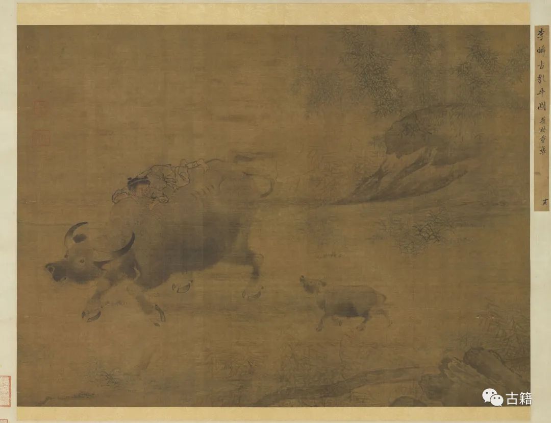 丑牛的闲话视频,闲话丑牛完整视频