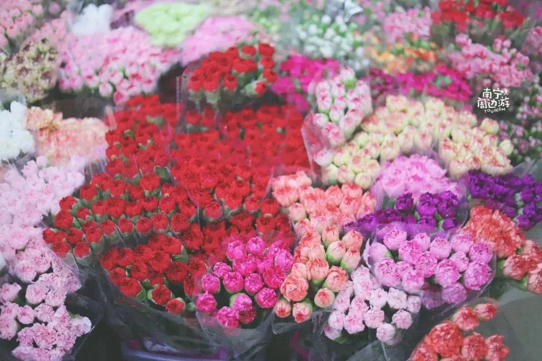 南宁赏花2022,赏花攻略南宁