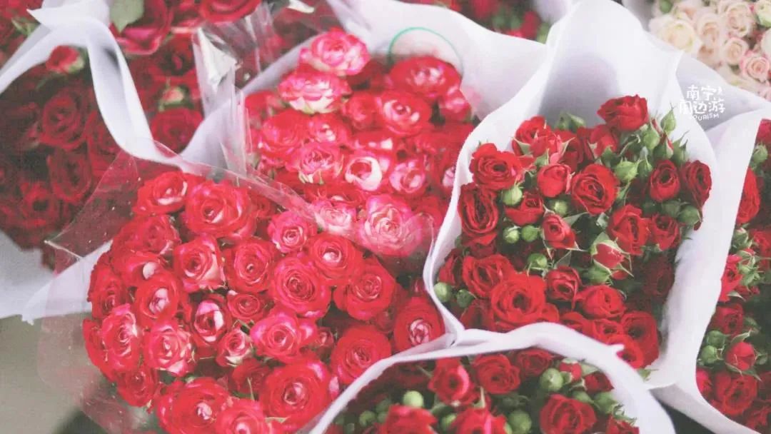 南宁赏花2022,赏花攻略南宁