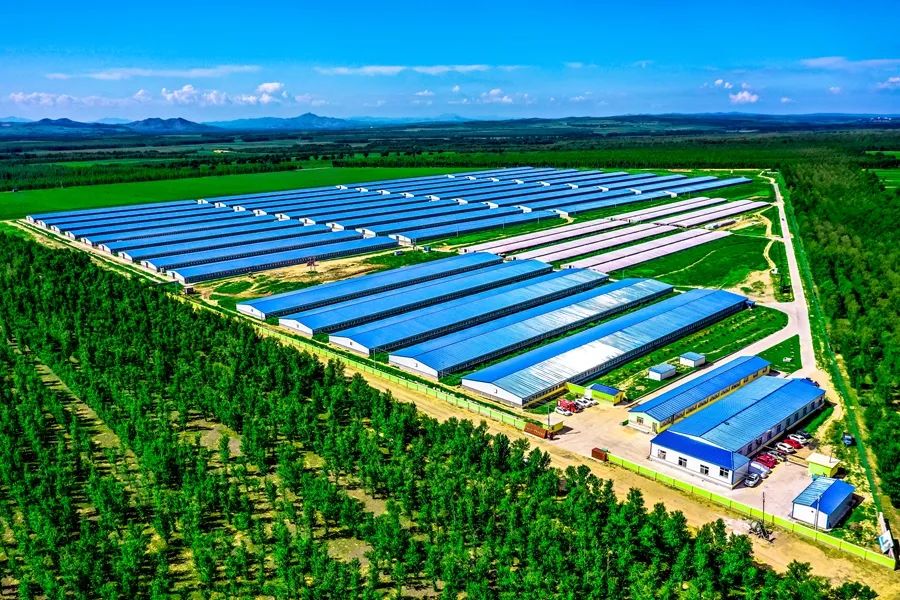 鍙や粖杈夋槧瀹屾暣瑙嗛,鍙や粖浜ょ浉杈夋槧