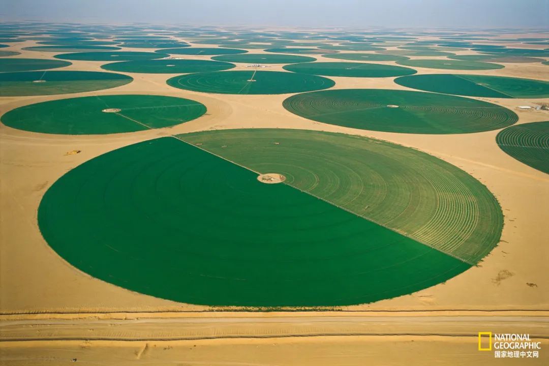 如果你是上帝,现在你是上帝2