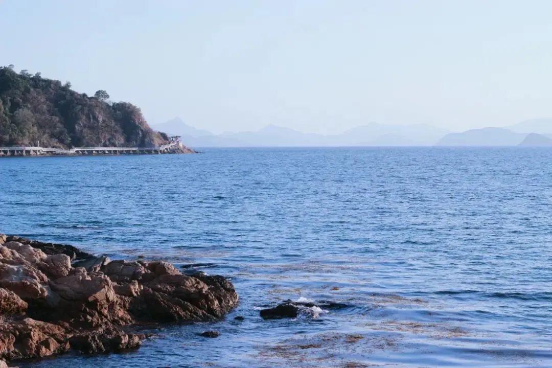 你好，我叫深圳，这是我的简历