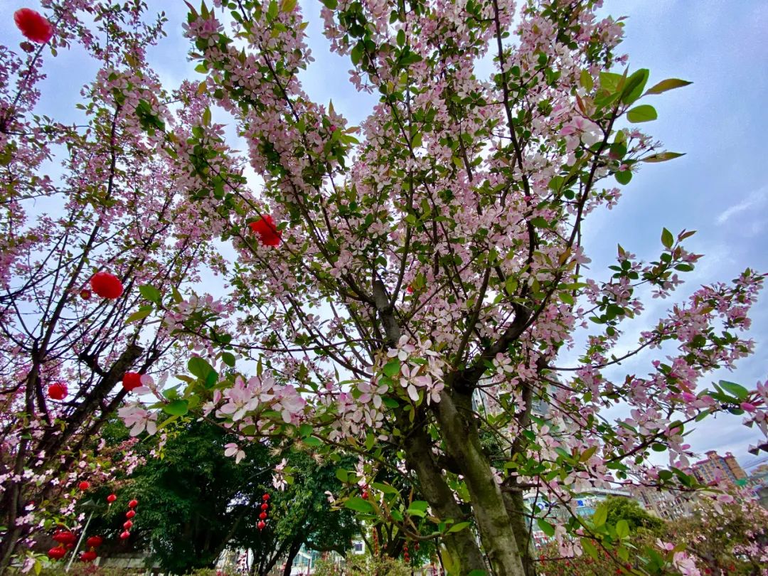 什邡风景好看的地方,什邡附近比较有名的景色