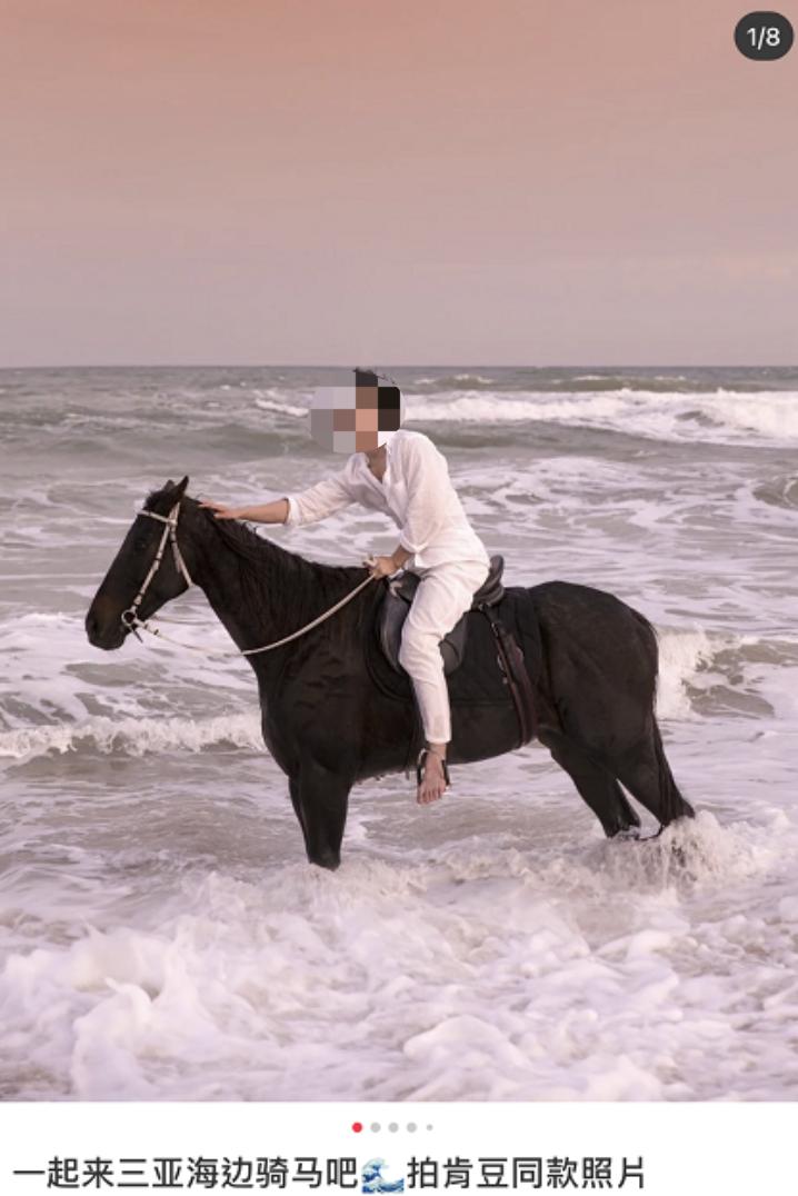 一马难求！网红在逃公主风把马都拍涨价了