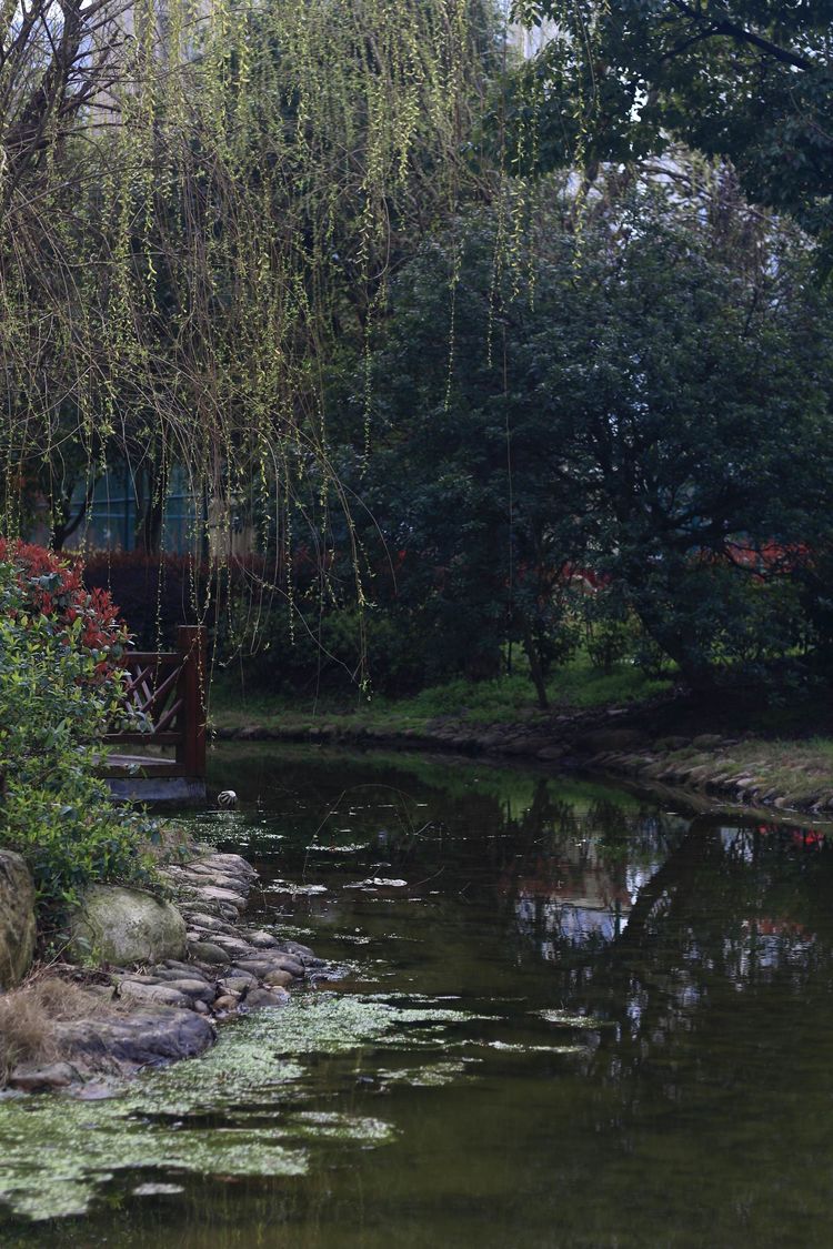 执手春天灼灼其华——咔嚓社最美遇见之寻找校园春意篇