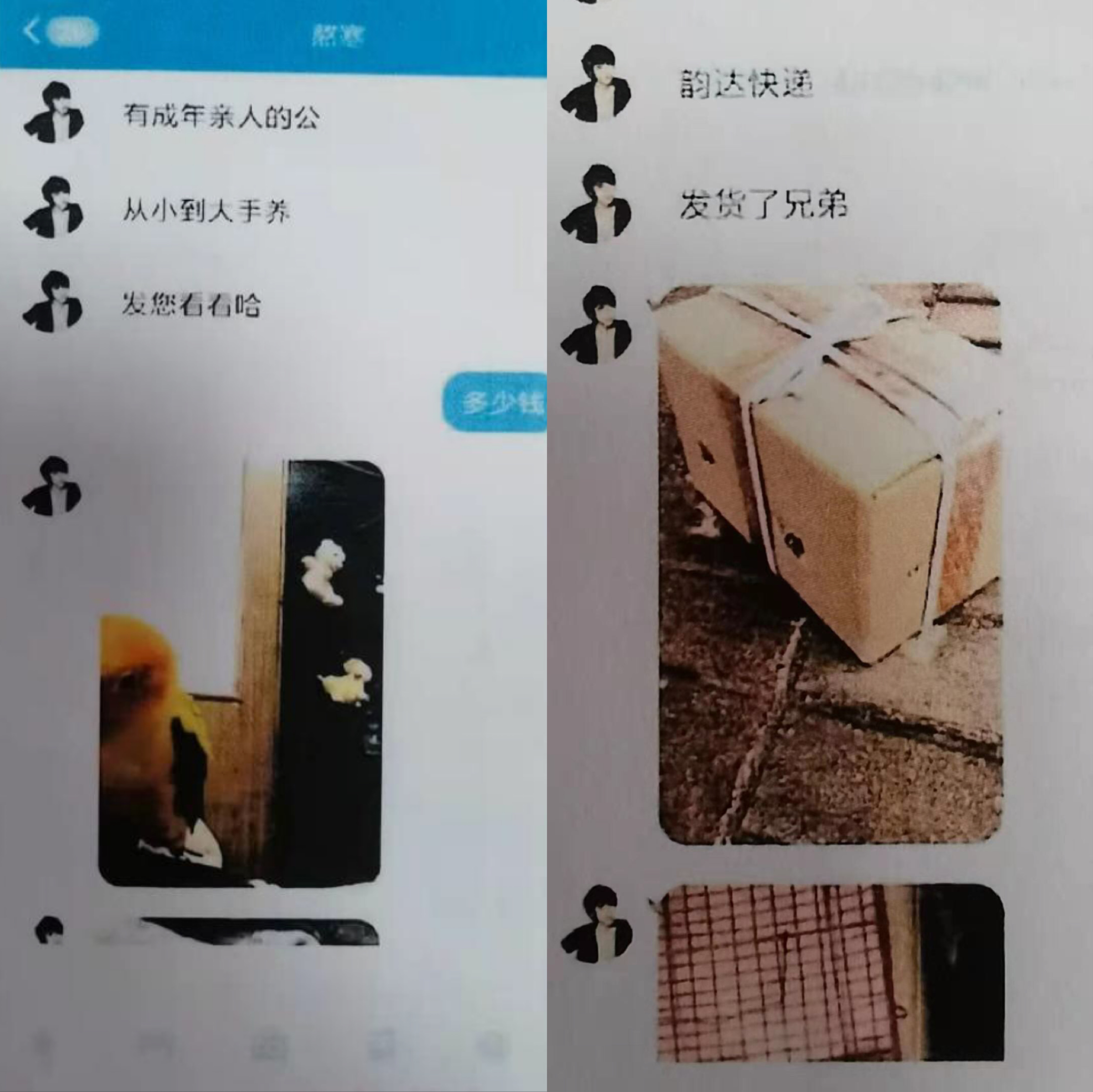 眼见未必为实网络,眼见不一定为实真实案件