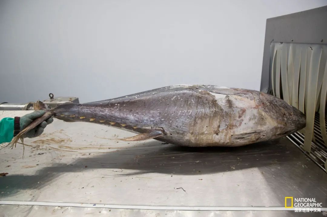 娴疯睔鏈夊瀹夊叏,娴疯睔鍓嶉儴闃叉挒鎻愮ず