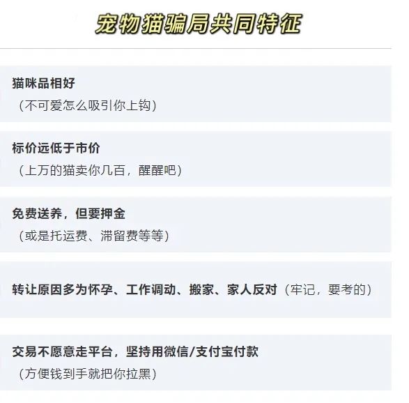 *子骗**又出新套路，可爱小猫沦为「骗钱工具人」