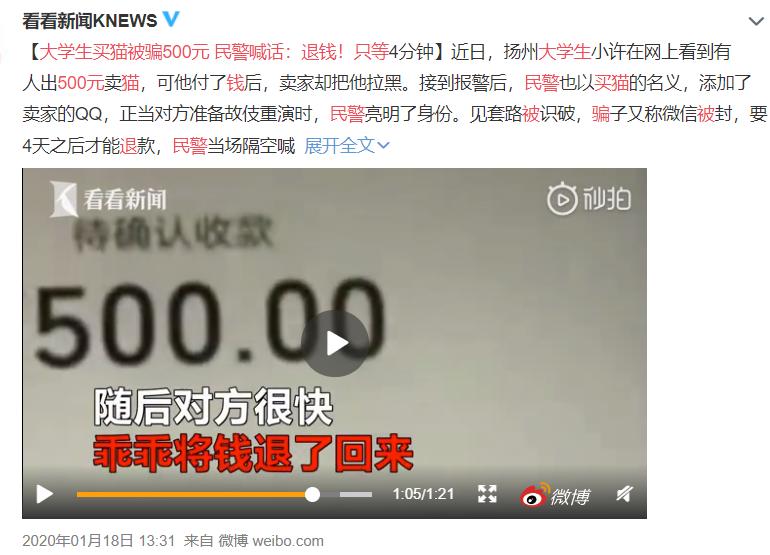 *子骗**又出新套路，可爱小猫沦为「骗钱工具人」