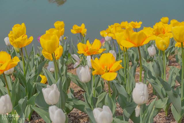 绘画我和春天有个约会,亲子绘画我和春天有个约会