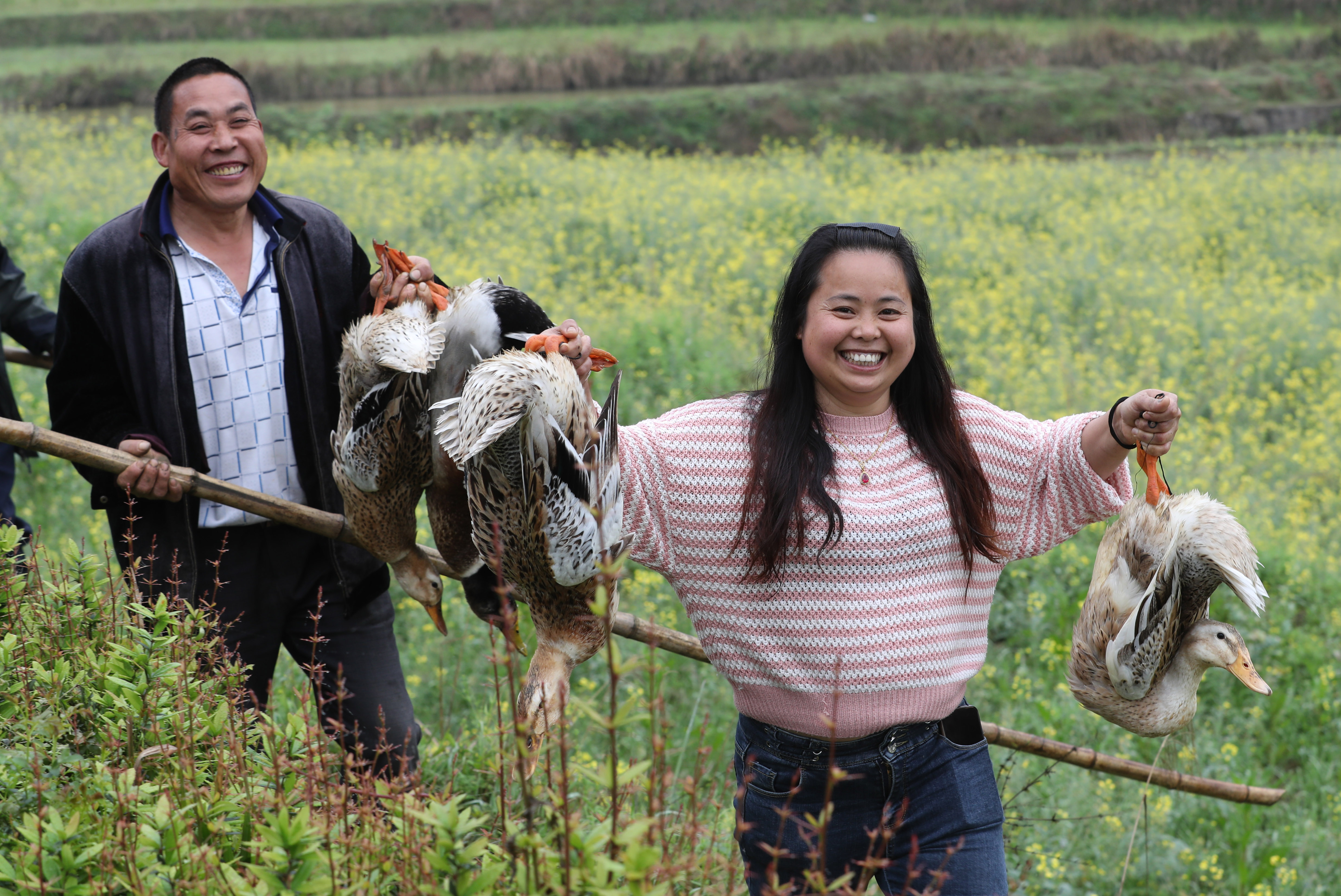 货郎的故事大全视频,贵州玉屏女货郎