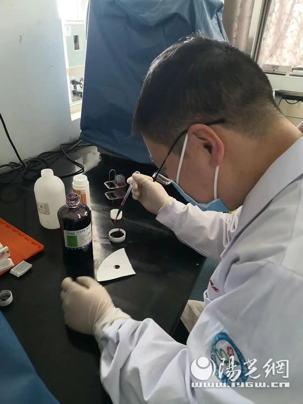 染色病理切片,病理技术常用的特殊染色技术