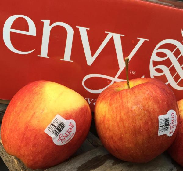 鏂拌タ鍏拌繘鍙ｇ寱鐚存,鏂拌タ鍏板師瑁呰繘鍙ｇ寱鐚存