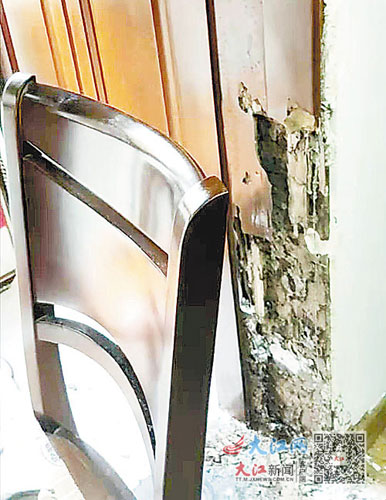 白蚁消杀新闻报道,小区出现白蚁消杀需谨慎