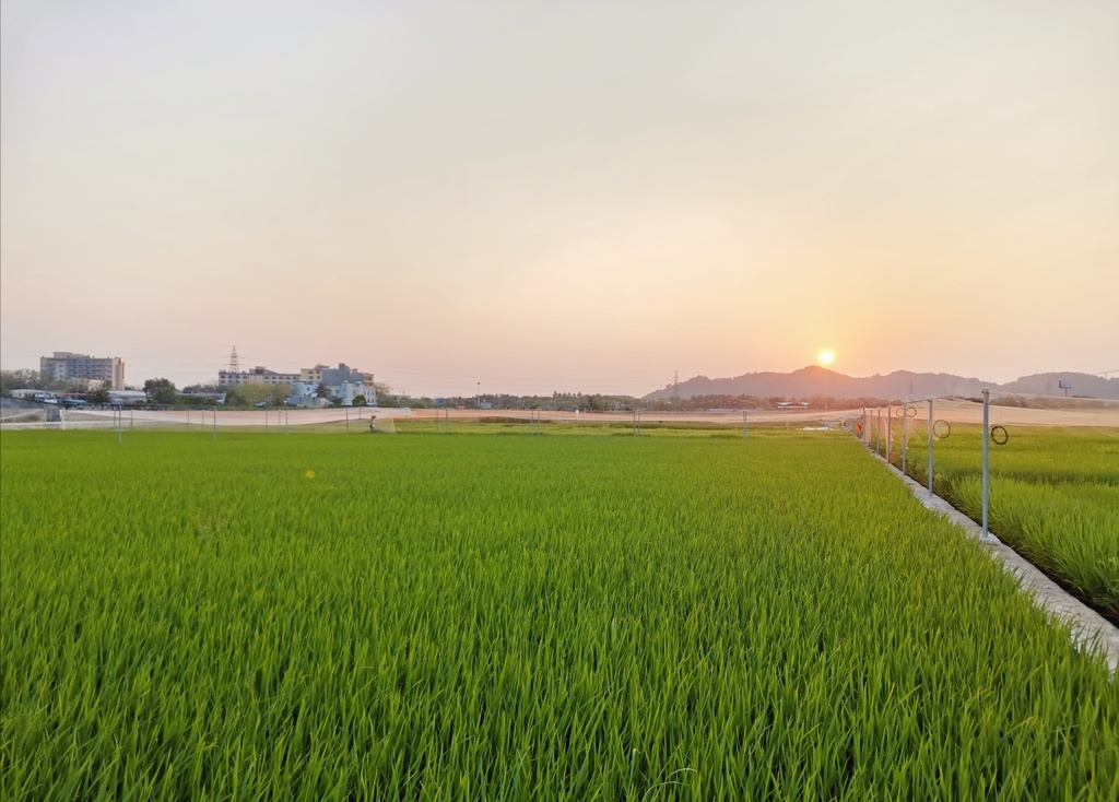 揭开远古四川的神秘面纱,揭开南极的面纱开启不一样的旅行