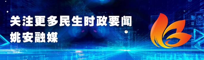 各种功效的酵素,酵素养生酵素