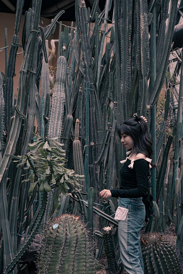 唐山带娃周末旅游攻略,唐山出发带娃两日游