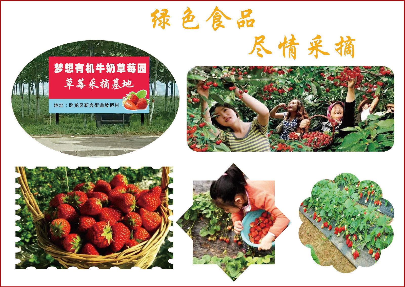 卧龙文化艺术节,美丽卧龙文化旅游节开幕