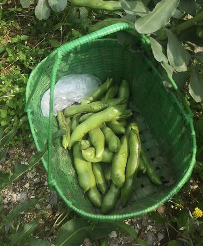 义乌美食及景点,义乌一日游必打卡美食