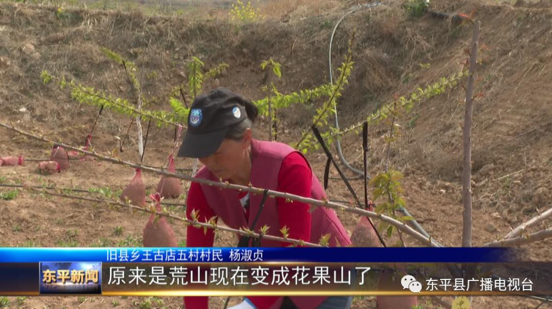 巾帼“愚公”潘婷：誓让荒山换新颜