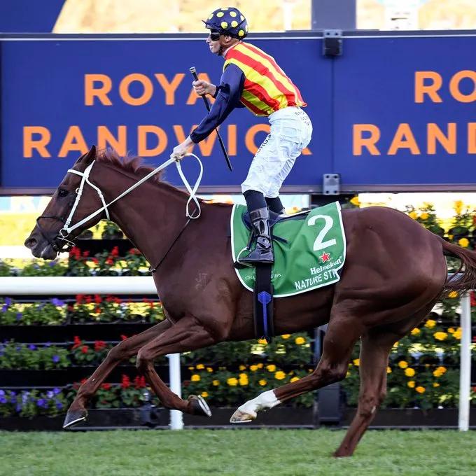 世界马匹排行第一的国家,2020世界马匹排行榜