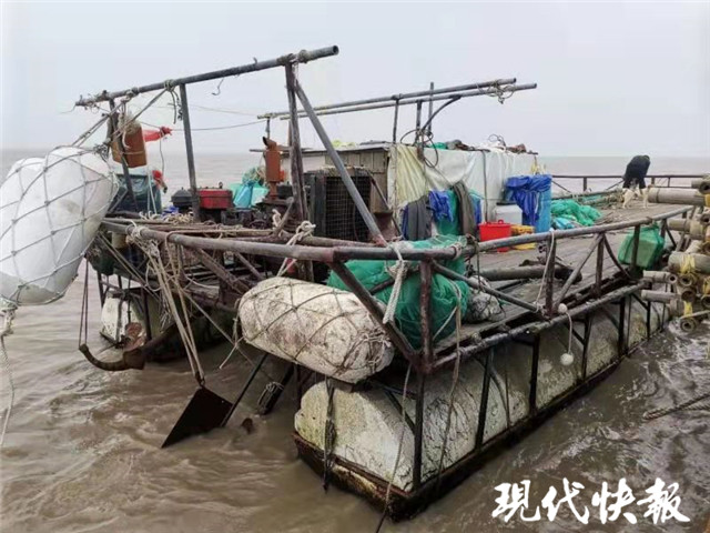 长江鳤鱼被判刑,长江鲟被判18个月