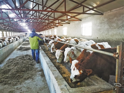 聚焦经营融合提升企业发展力,内蒙古发展现代服务业的措施