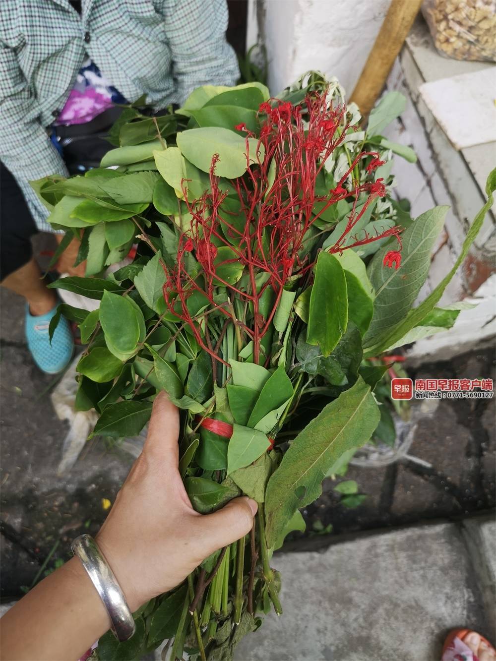 端午节泡药浴,端午前泡药浴的好处图片