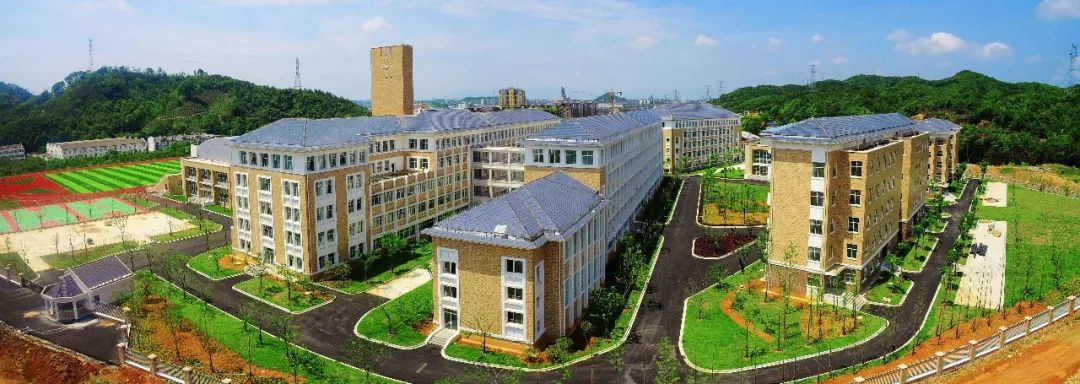 聚力产业振兴实现华丽蝶变,凝心聚力谋发展砥砺奋进创佳绩