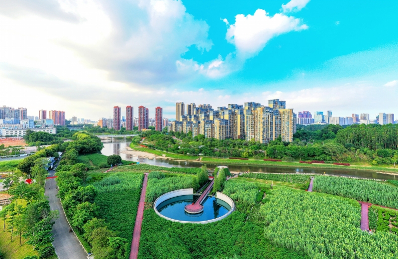 践行我为群众办实事实践活动,践行我为群众办实事主题党日活动