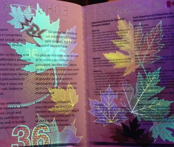 2023年全球最强护照排行榜揭晓,2022全球最强护照排名