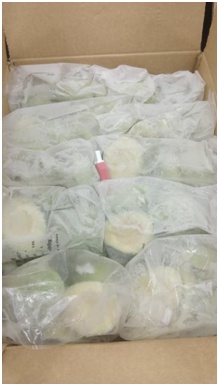 进口水果基础知识大全,进口水果合集推荐品牌