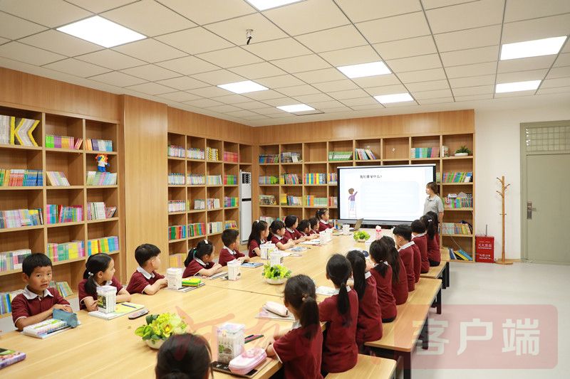 金观察,金观察的最新视频