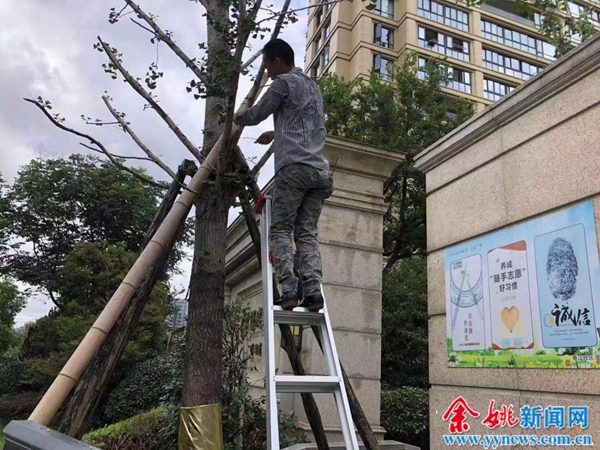 余姚台风烟花最新动态,防范烟花台风简报