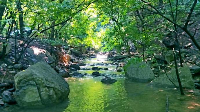 济南佛峪景区漫山红遍惹人醉,雪后济南惊艳